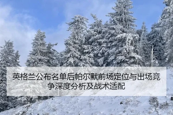 ying-ge-lan-gong-bu-ming-dan-hou-pa-er-mo-qian-chang-ding-wei-yu-chu-chang-jing-zheng-shen-du-fen-xi-ji-zhan-shu-shi-pei-2-795.jpg